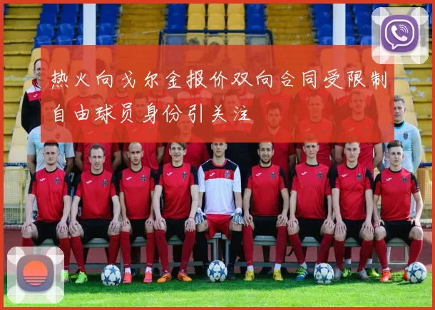 热火向戈尔金报价双向合同受限制自由球员身份引关注